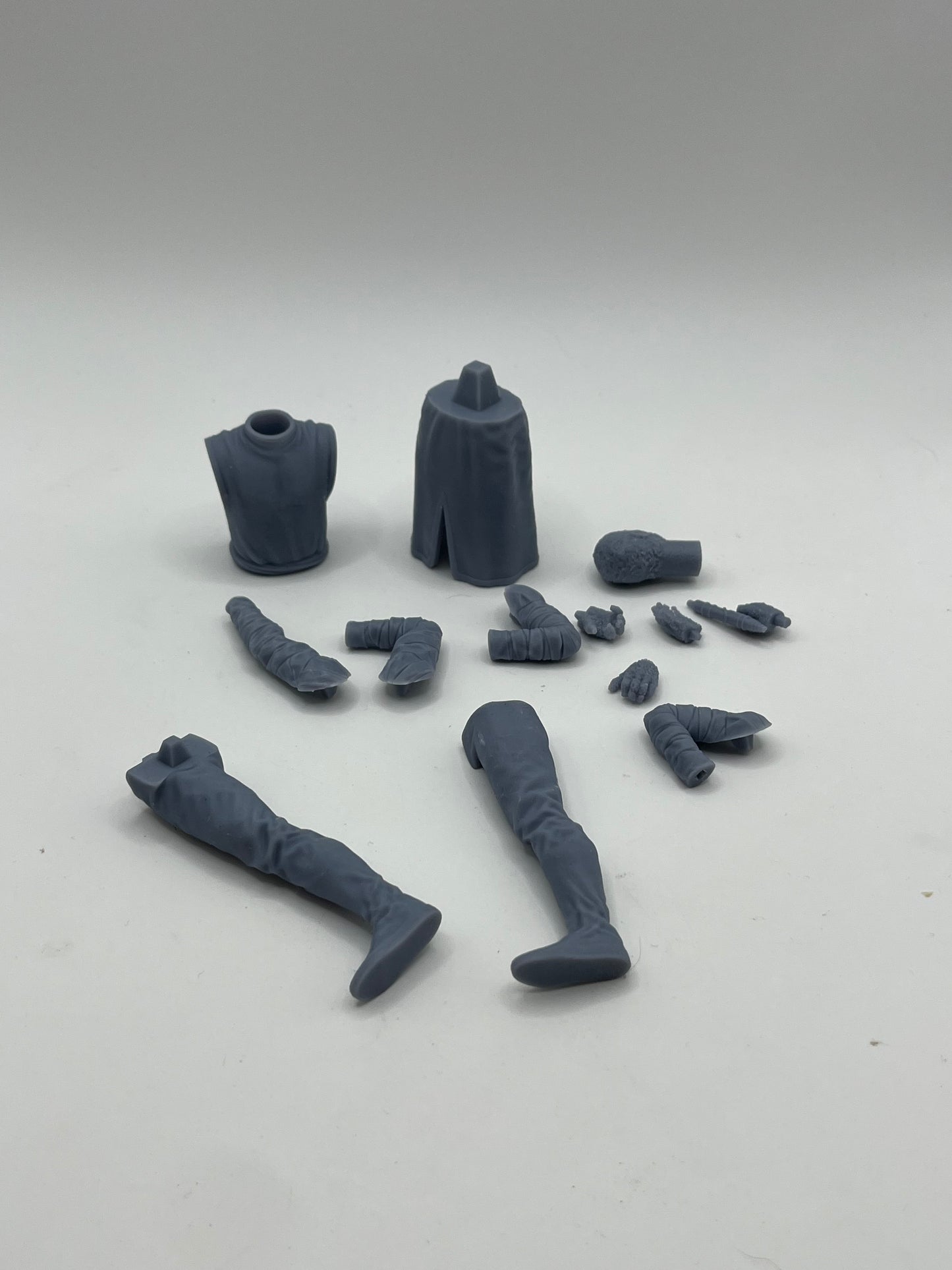 Chameleon Figure Kit