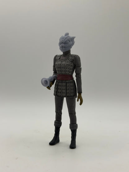 Silurian Warrior