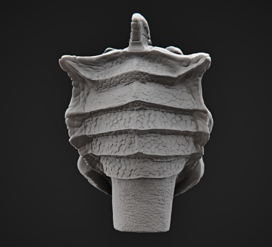 Silurian Warrior