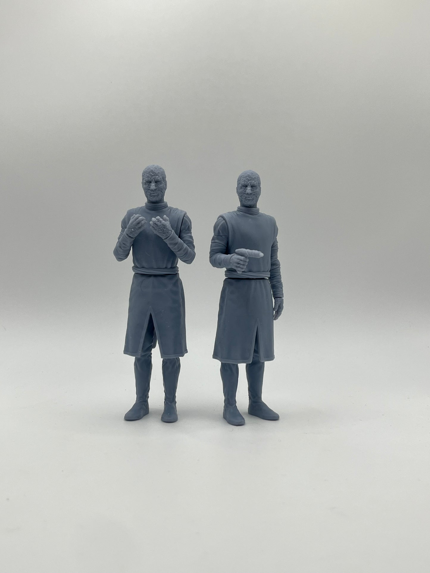 Chameleon Figure Kit