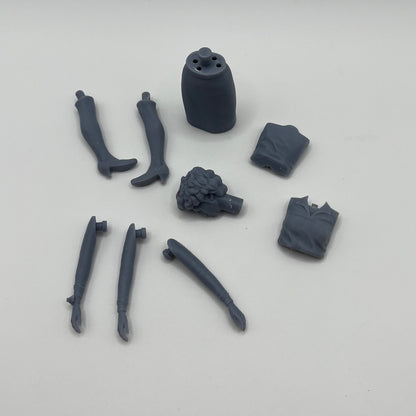 Tegan Figure Kit (The Visitation)