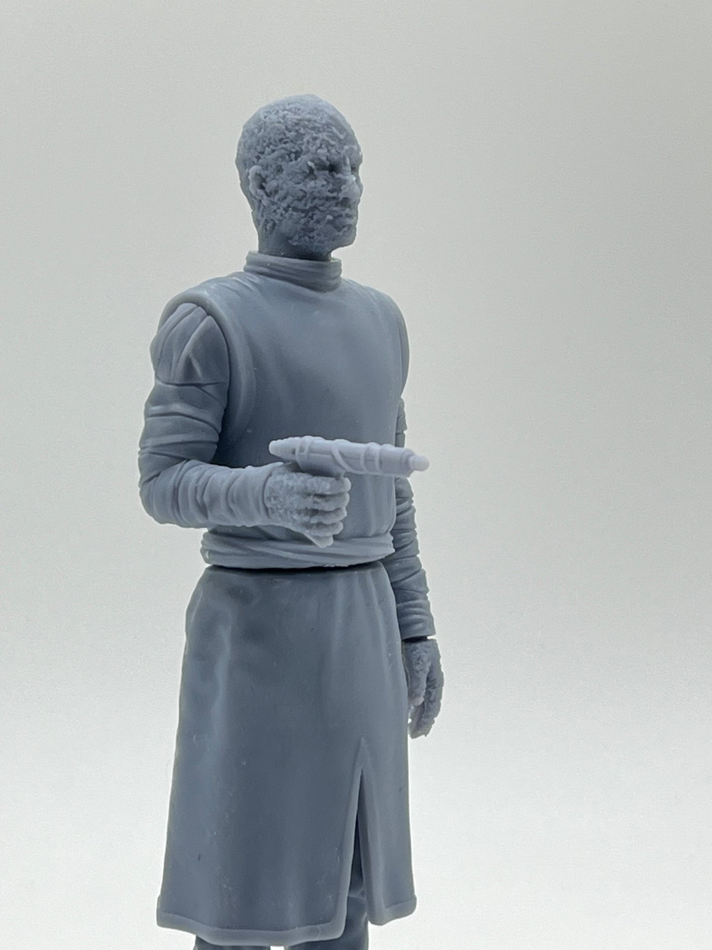 Chameleon Figure Kit