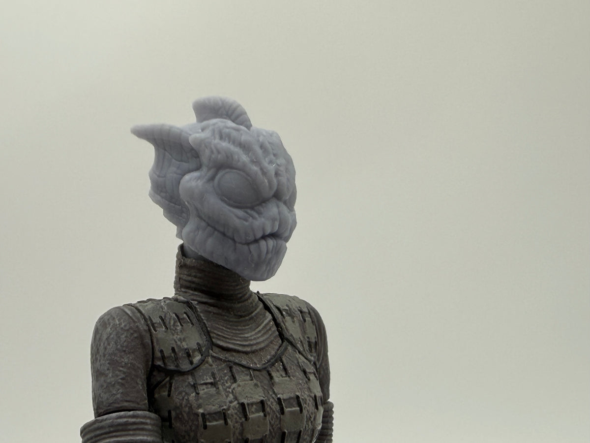 Silurian Warrior