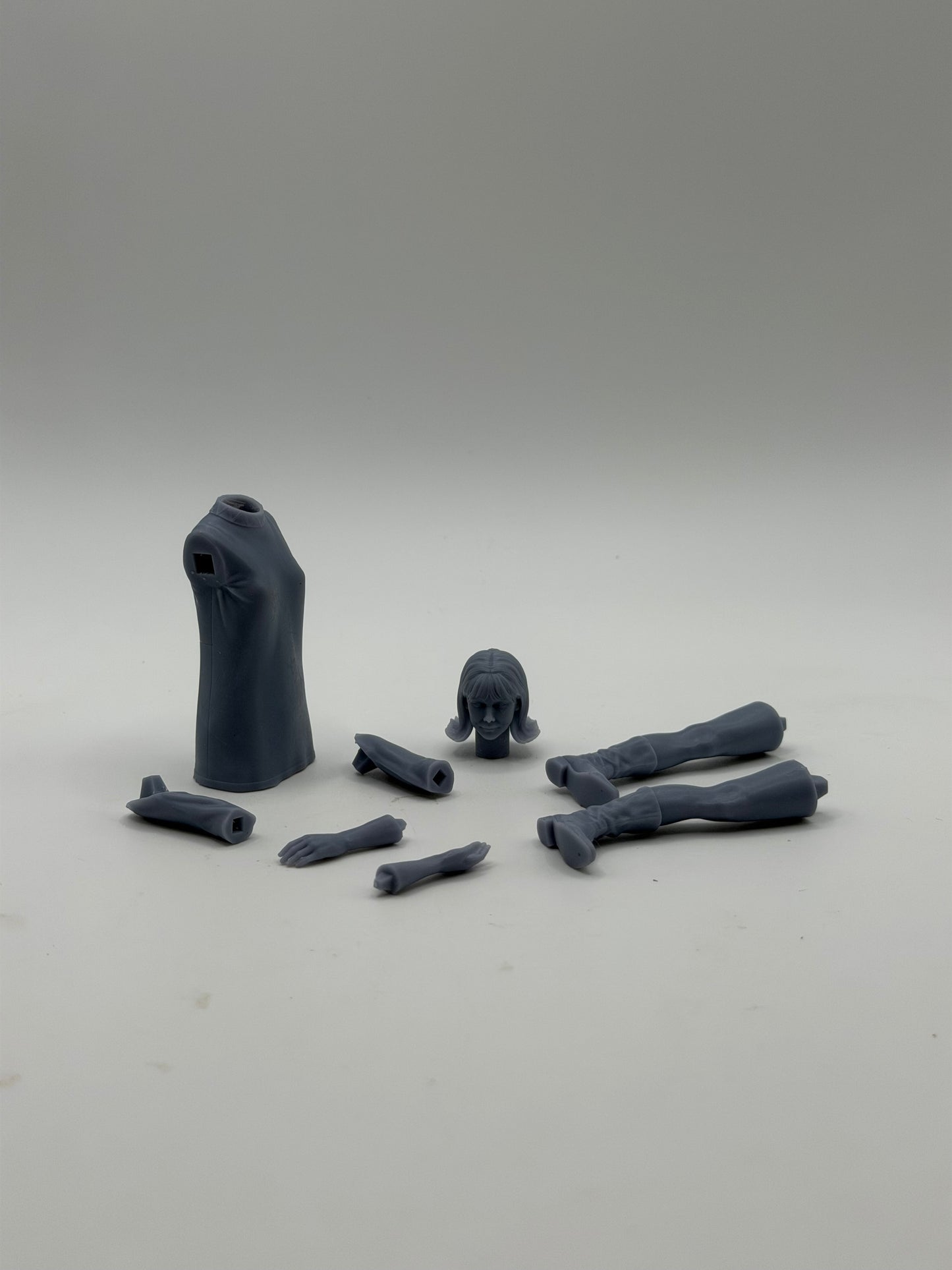 Vicki Pallister Figure Kit