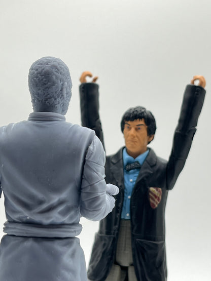 Chameleon Figure Kit