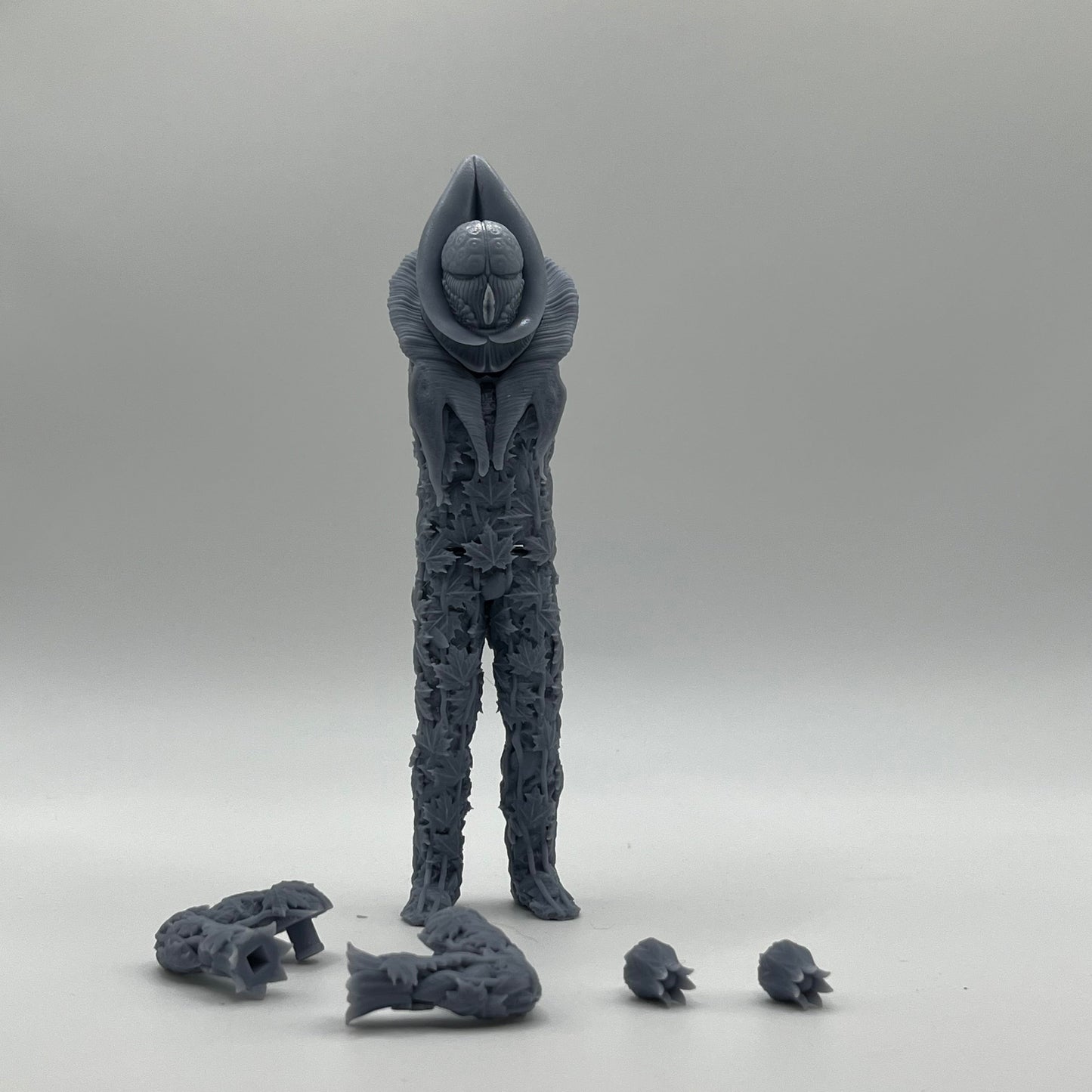 Vervoid Alpha Figure Kit