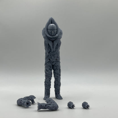 Vervoid Alpha Figure Kit