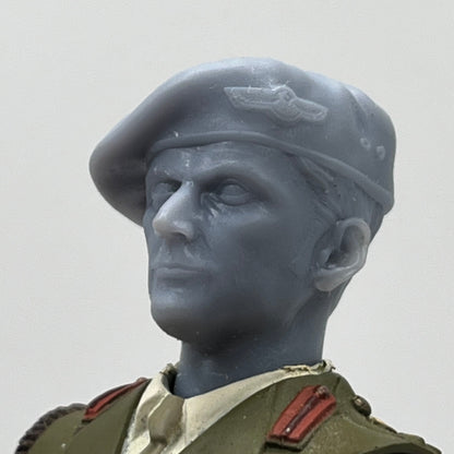 UNIT Colonel Brimmicombe-Wood