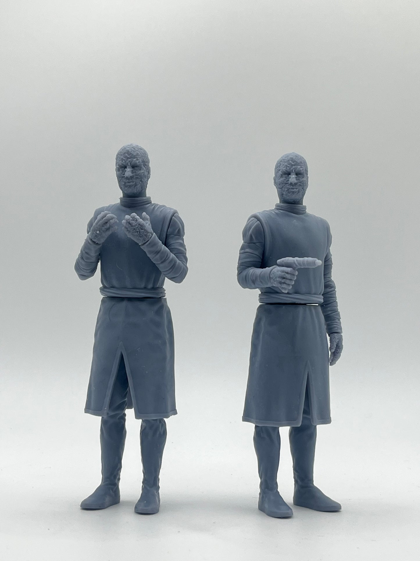 Chameleon Figure Kit